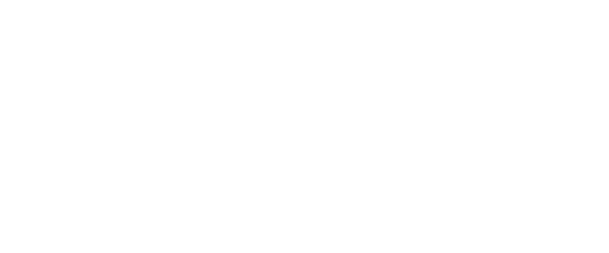 Virgo Models
